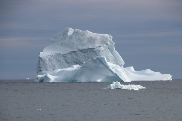 Eisberge in Grönland