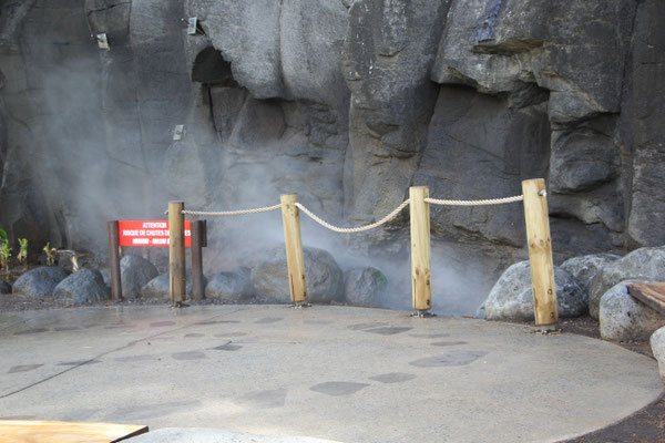 Blowhole
