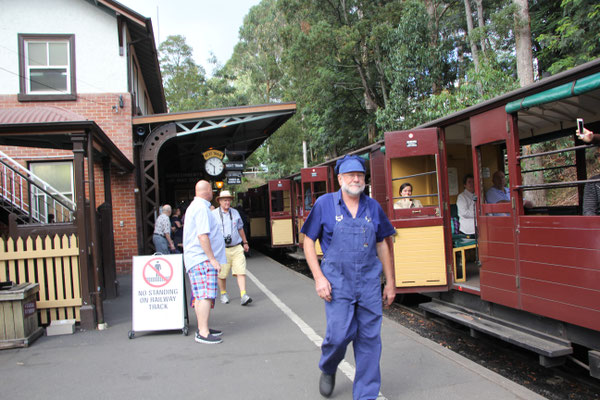 Wir fahren mit Puffing Billy