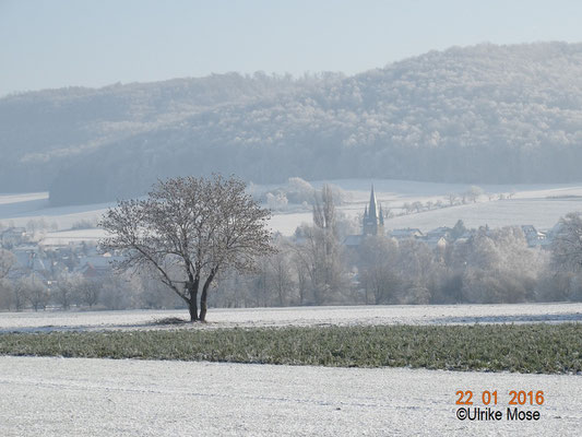 Winterstimmung in Harle.