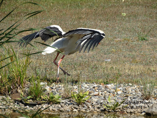 .....und Abflug.