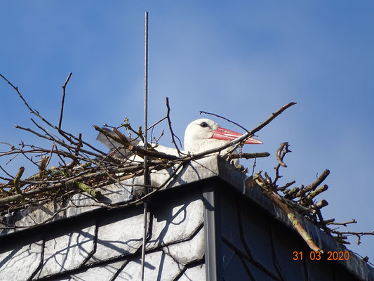 Hier kann man eine Familie gründen!  Foto: Ulrike Mose