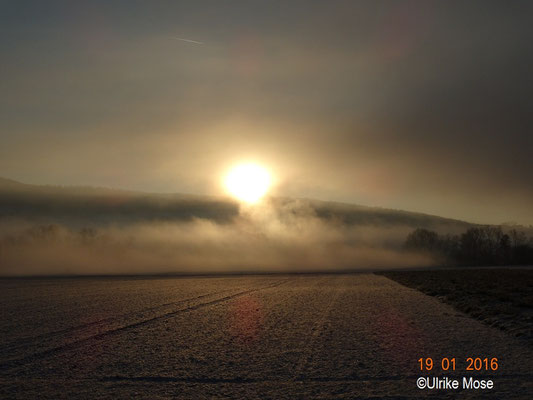 Winterimpression "aufgehende Sonne".