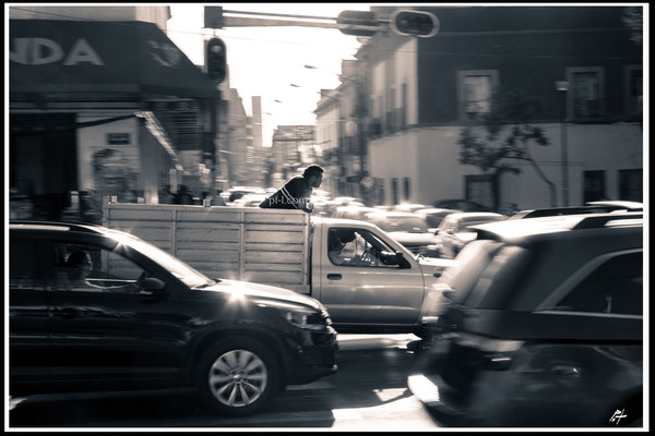"NEW HORIZONS" (MEXICO 2017)