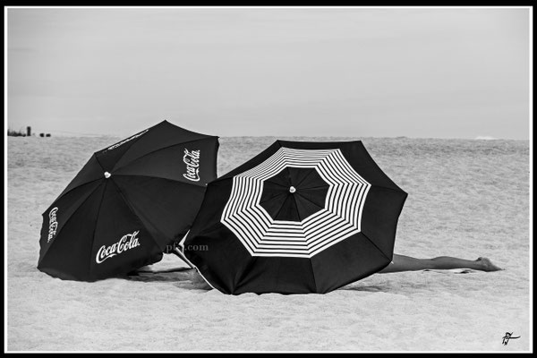 "PARASOLS A JAMBES" (BRETAGNE, FRANCE 2017)