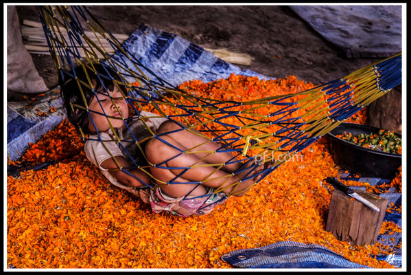 "SLEEPING BEAUTY" (THAILAND 2015)