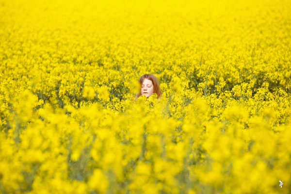 "YELLOW OCEAN" (FRANCE 2021)
