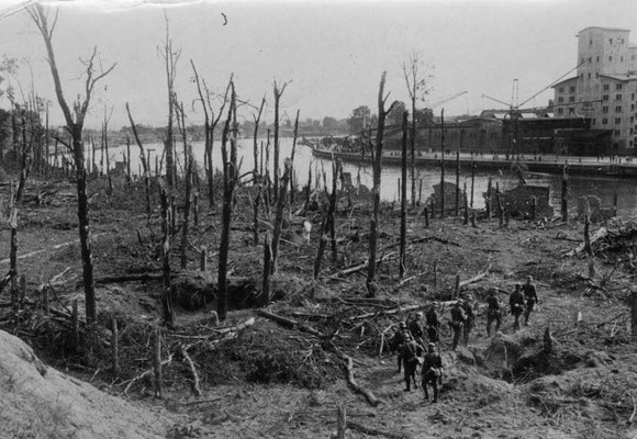Zerschossener Wald auf der Westerplatte nach der Einnahme am 8. September 1939