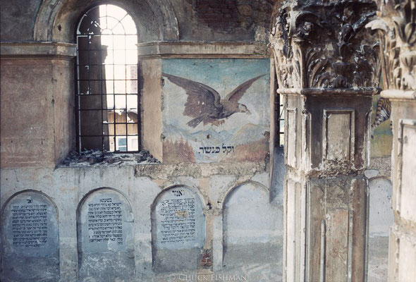 Rymanow, Poland, Ruinen der Synagoge