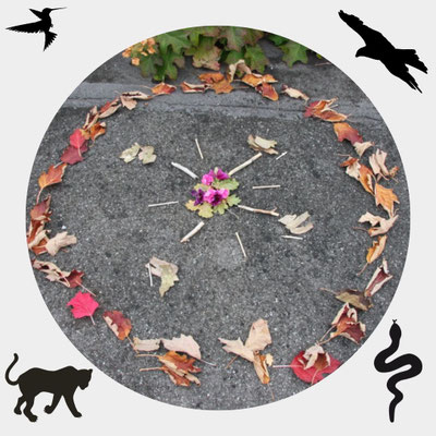 7-Generationen Aufstelllung, Aufstellung & Schamanismus