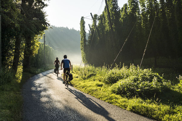 Radln in Oberbayern © Tourismus Oberbayern München e.V. 