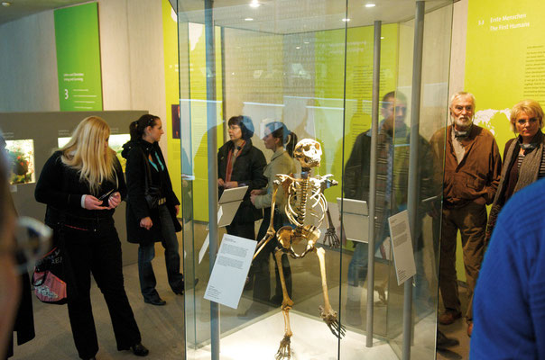 Führung durch die Dauerausstellung © Neanderthal Museum
