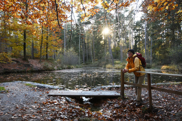 Impressionen aus dem Land des Hermann | Teutoburger Wald © LTM GmbH