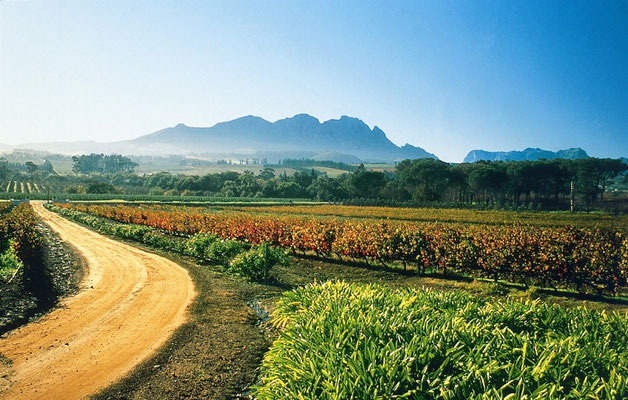 Weingut Beyerskloof