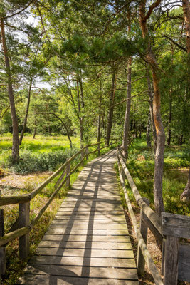 Impressionen aus dem Land des Hermann | Teutoburger Wald © LTM GmbH
