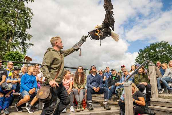 Impressionen aus dem Land des Hermann | Teutoburger Wald © LTM GmbH