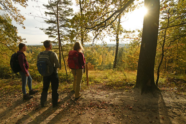 Impressionen aus dem Land des Hermann | Teutoburger Wald © LTM GmbH