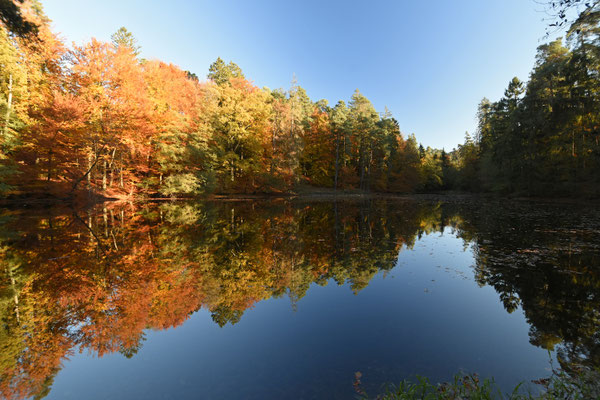 Impressionen aus dem Land des Hermann | Teutoburger Wald © LTM GmbH