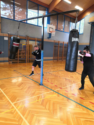 boxclub stockerau training