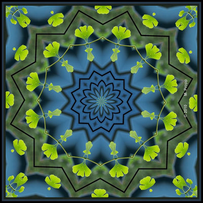 Ginko Mandala