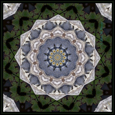 Kaleidoskop Collage mit Seerosen