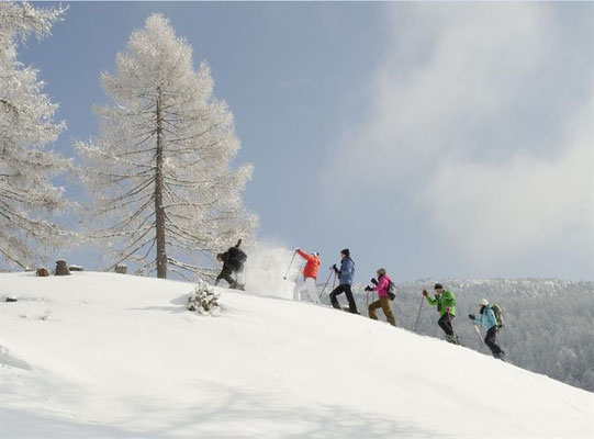 Skitouren / Quelle: www.obervellach-reisseck.at