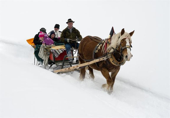 winterliche Pferdeschlittenfahrt, Obervellach / Quelle: www.obervellach-reisseck.at