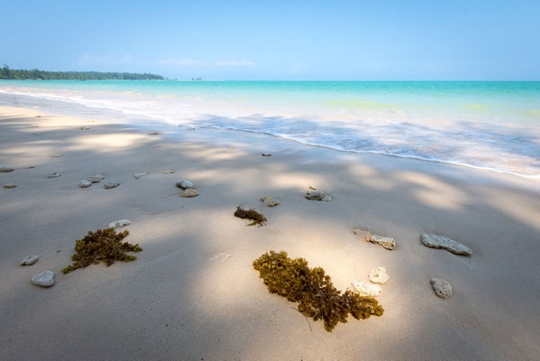 Coconut Beach