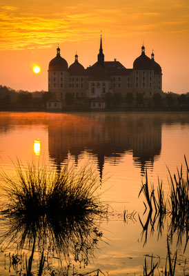 Morgenlicht am Schloß Moritzburg.