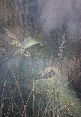 Isabella Berr: "Botanicum" Fine-Art Print im Rahmen 30 x 40 cm