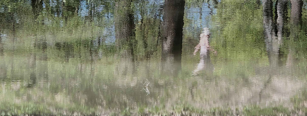 Isabella Berr: "Figur im Fluss",  Fine-Art Print auf Aludibond 38 x 100 cm cm