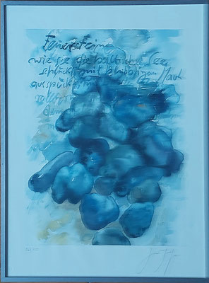 Günter Grass: Farbalgrafie auf Bütten, Rahmengröße 47 x 61 cm, 126/150 signiert  350 Euro