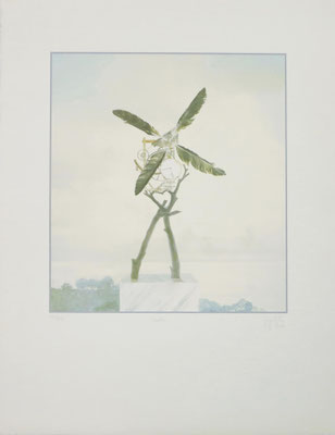 Henning von Gierke: Winduhr   1982, 50 x 65 cm Siebdruck 250 Euro