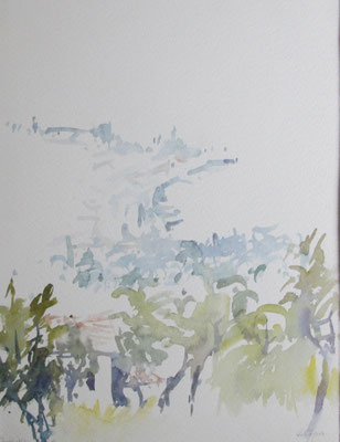 Maderno_300,00 € 54x40 cm