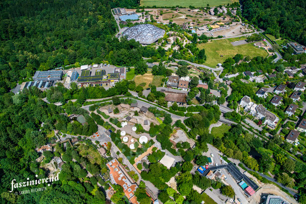 Luftaufnahme von Zoo Zürich aus der Luft, Region Zürich, Schweiz
