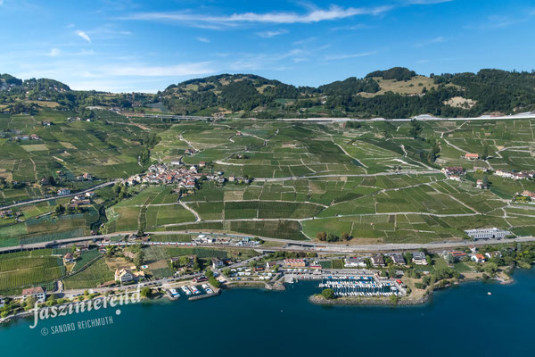 Luftaufnahme von Lavaux am Genfersee, Westschweiz, Schweiz