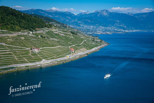Luftaufnahme von Lavaux am Genfersee, Westschweiz, Schweiz