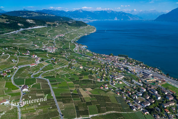 Luftaufnahme von Lavaux am Genfersee, Westschweiz, Schweiz