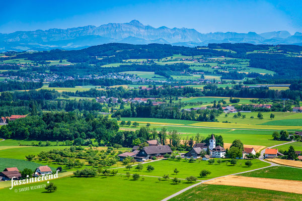 Luftaufnahme von Amlikon-Bisegg, Ostschweiz, Schweiz