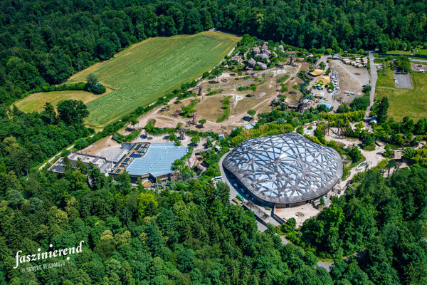 Luftaufnahme von Zoo Zürich aus der Luft, Region Zürich, Schweiz