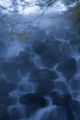 秋水
