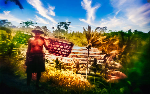 10‗bali