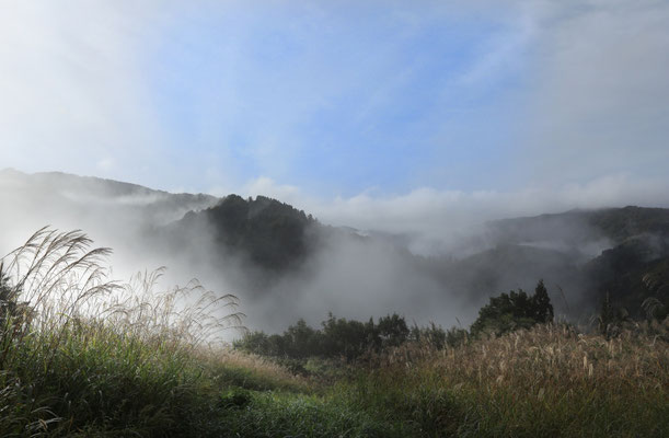 「西山 朝景」　砂井　外美子