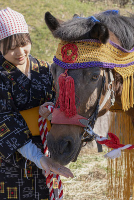 愛馬の晴れ姿