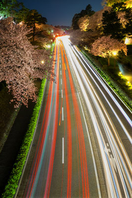 東 優子　桜街道