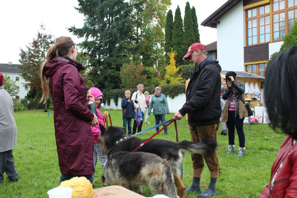 Hundetrainerin Sarah Lehner mit Gästen