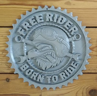 Disque plastique Free Rider  (association motos)