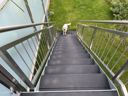 Aufgang Garten zum Obergeschoss