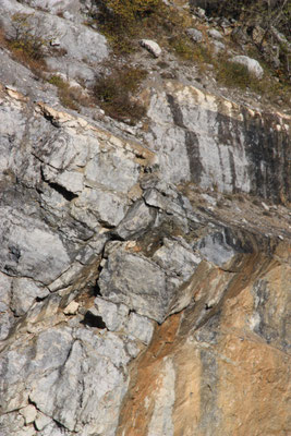 Disgaggio in cava - Piemonte - Provincia di Cuneo