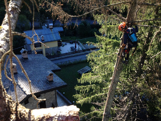 Tree climbing ed esbosco - Piemonte -Provincia di Cuneo